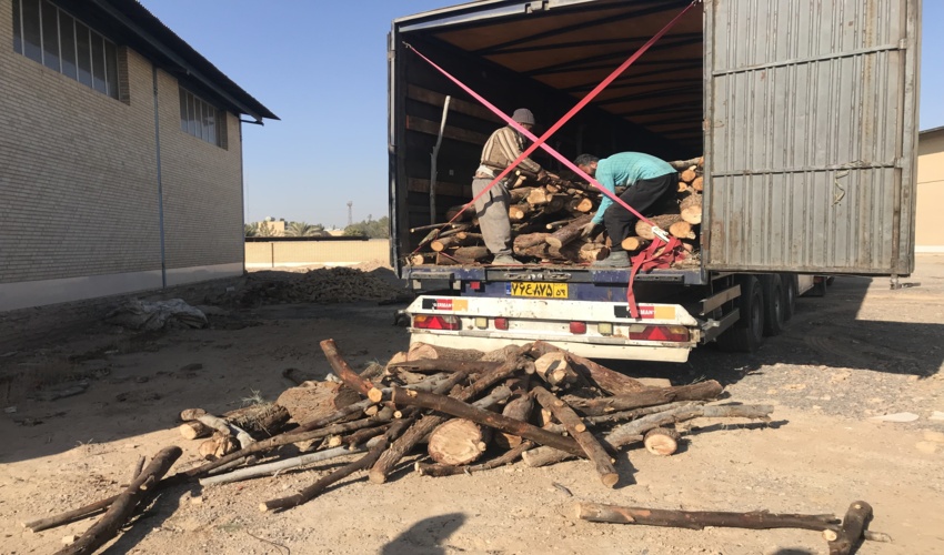 توقیف یک دستگاه تریلی چادری حامل چوب قاچاق در شهرستان اردکان