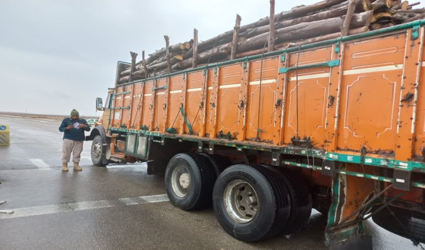 کنترل و بازرسی محموله های چوبی در محور چوپانان شهرستان اردکان 