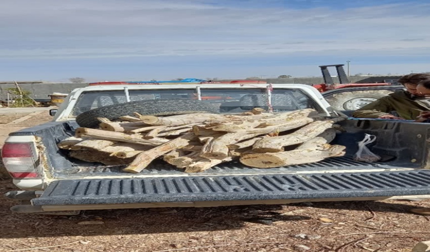 کشف وضبط 235 کیلوگرم چوب آلات غیرمجازجنگلی درشهرستان ابرکوه