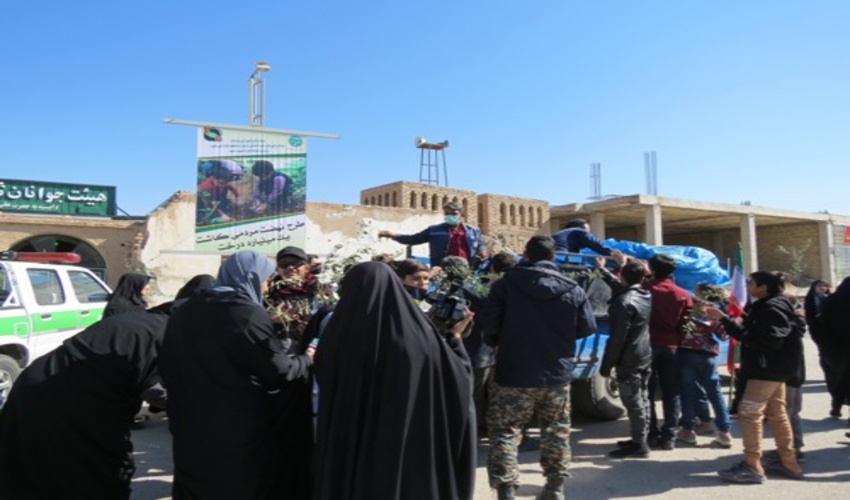 بيش از يك هزار و 500 اصله نهال زيتون رایگان در راهپیمایی ۲۲ بهمن ماه در شهرستان بافق توزیع شد