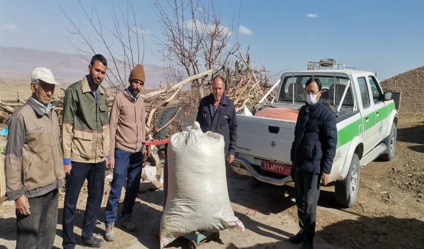 بذر پاشی آنغوزه در بخشی از مراتع شهرستان بهاباد