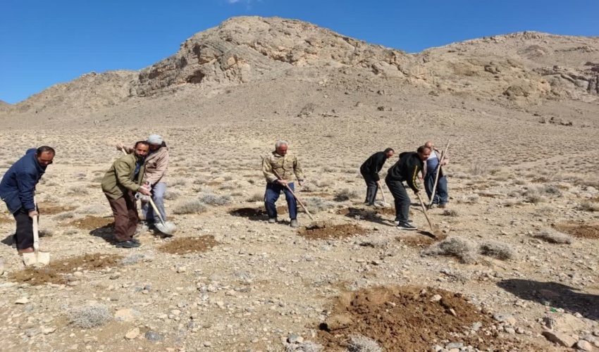 پویش بذرکاری مشارکتی در سطح 10 هکتار در منطقه کرخنگان بخش ایثار شهرستان مروست به مناسبت ایام الله دهه فجر