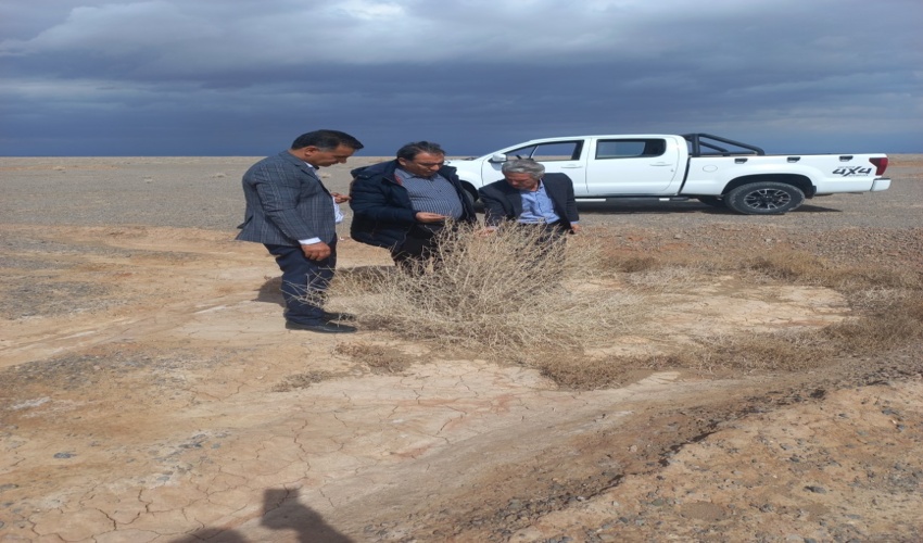 بازدید کارشناسان ارزیاب واحد  بیابان سازمان منابع طبیعی وآبخیزداری کشور از شهرستان ابرکوه