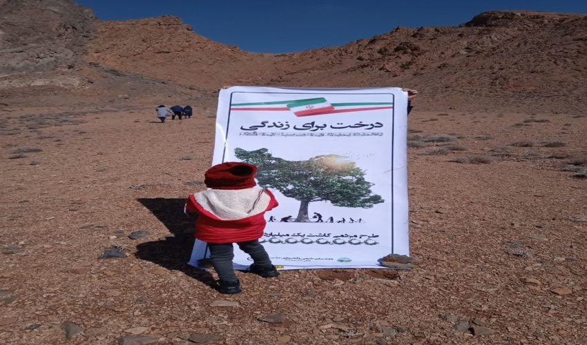 آغاز طرح پویش نذر سبز مادری با کشت بذر بادام کوهی در منطقه کوهستانی درین شهرستان میبد