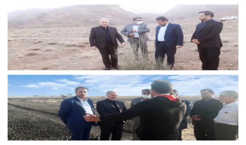 حضور مجری طرح مردمی کاشت یک میلیارد درخت و مدیر کل منابع طبیعی و آبخیرداری استان یزد در شهرستان مهریز