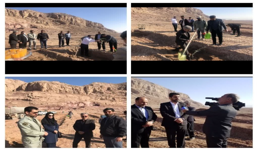 کاشت ۱۰۰۰ اصله نهال زیتون در منطقه چم شهرستان تفت با حضور معاونت هماهنگی امور عمرانی استانداری یزد