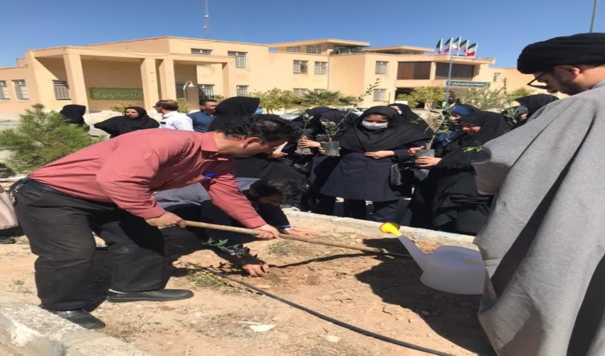 کشت ۵۰ اصله نهال زیتون در شبکه بهداشت شهرستان تفت