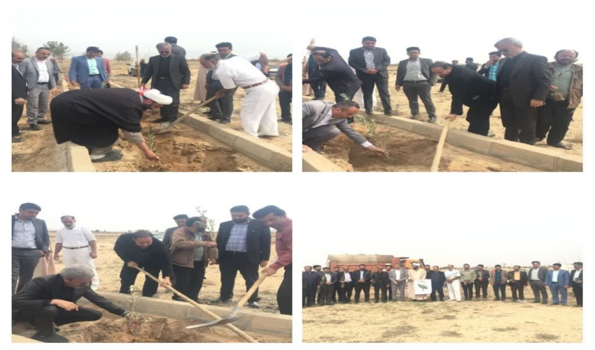 کشت ۲۲۰ اصله نهال مثمر زیتون و گلابی در پارک وحدت بخش گاریزات شهرستان تفت