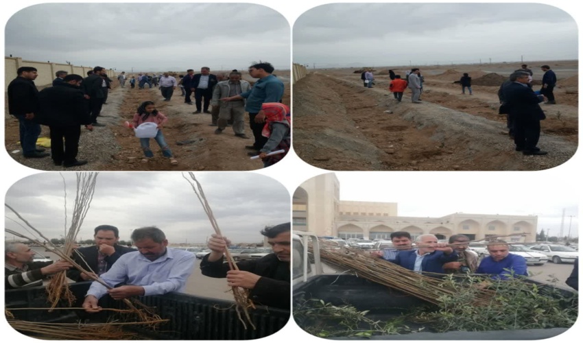 پنجمین روز از هفته منابع طبیعی و کاشت درخت در محل فولاد ایده آل شمش و توزیع نهال رایگان در مصلای نماز جمعه شهرستان میبد