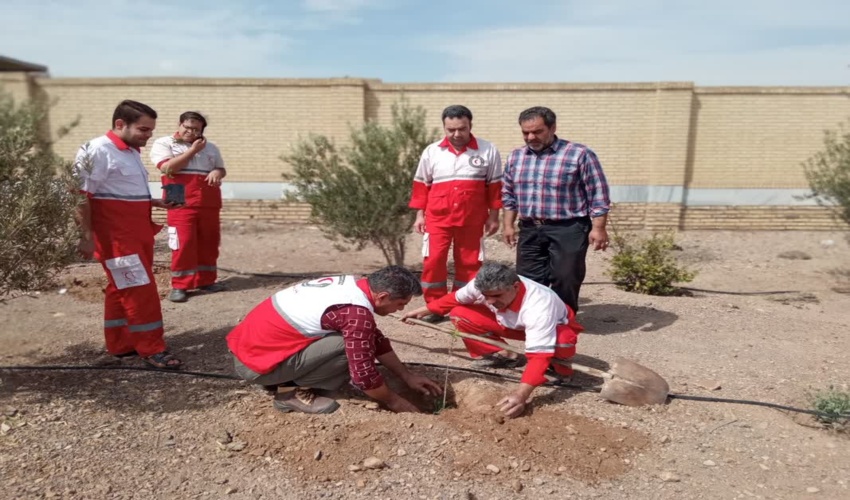 نهالکاری با مشارکت جمعیت هلال احمر شهرستان اردکان به مناسبت هفته منابع طبیعی