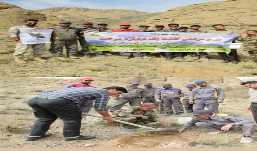 مراسم درختکاری به مناسبت ششمین روز از هفته منابع طبیعی در دانشگاه اردکان با مشارکت اداره منابع طبیعی و آبخیزداری اردکان