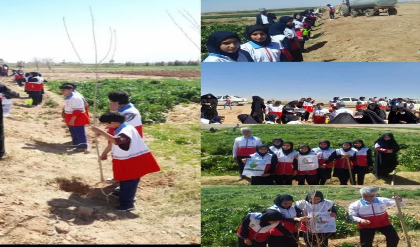 توزیع بسته های فرهنگی ترویجی بین نونهالان اشکذر در هفته منابع طبیعی 