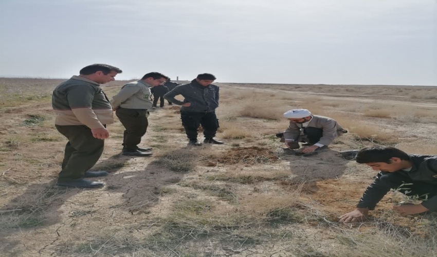 با مشارکت همیاران طبیعت دانش آموزی در سومین روز از هفته منابع طبیعی تعداد 20 اصله نهال غرس گردید.
