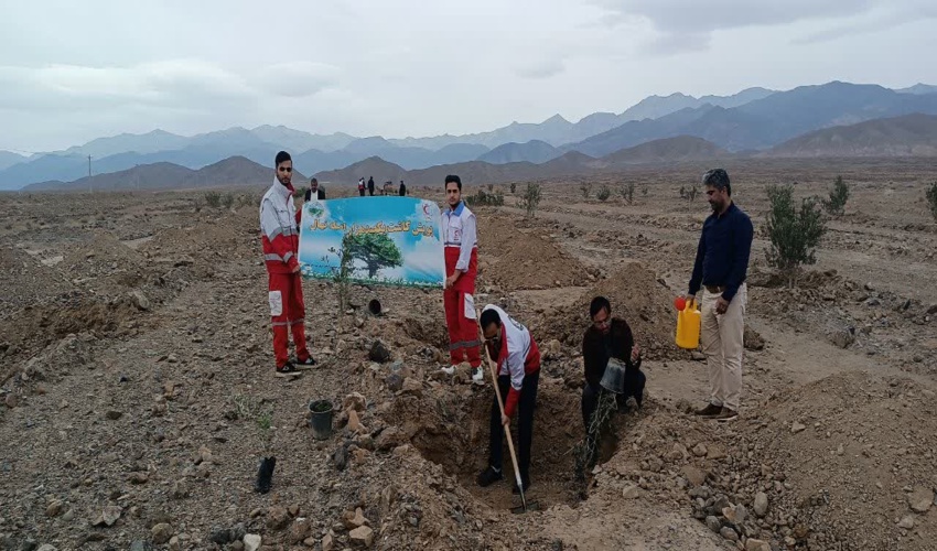 اجرای پویش کاشت یکصد هزار اصله نهال در شهرستان بهاباد