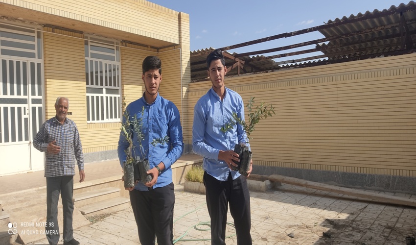 توزیع نهال رایگان زیتون درراستای طرح مردمی کاشت یک میلیارد درخت شهرستان ابرکوه