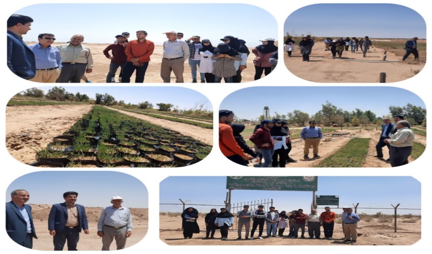 بازدید دانشجویان دانشگاه شهرکرد از ایستگاه زوجی پایش و فرسایش بادی و نهالستان کانال باد  شهرستان میبد
