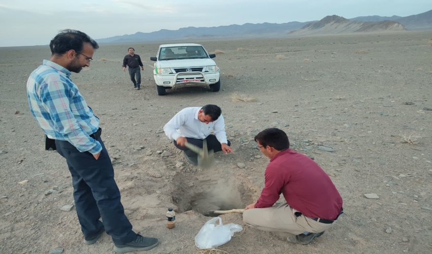 بازدید جهت جانمایی کاشت درختان طرح ترسیب کربن در شهرستان بهاباد