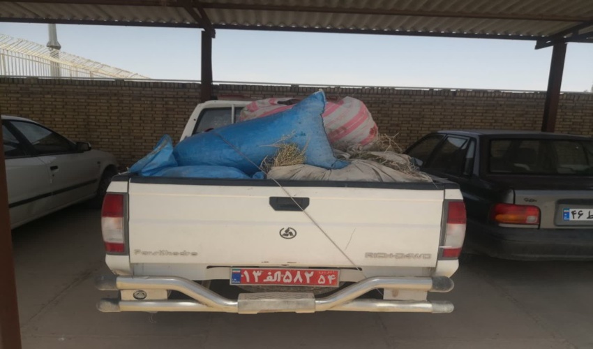 کشف وضبط 85کیلوگرم آویشن شیرازی درشهرستان ابرکوه