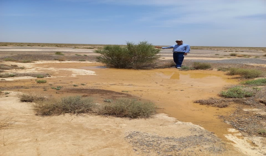 آماده سازی بسترکاشت حوزه بیابانی غرب ابرکوه درراستای طرح مردمی کاشت یک میلیارددرخت