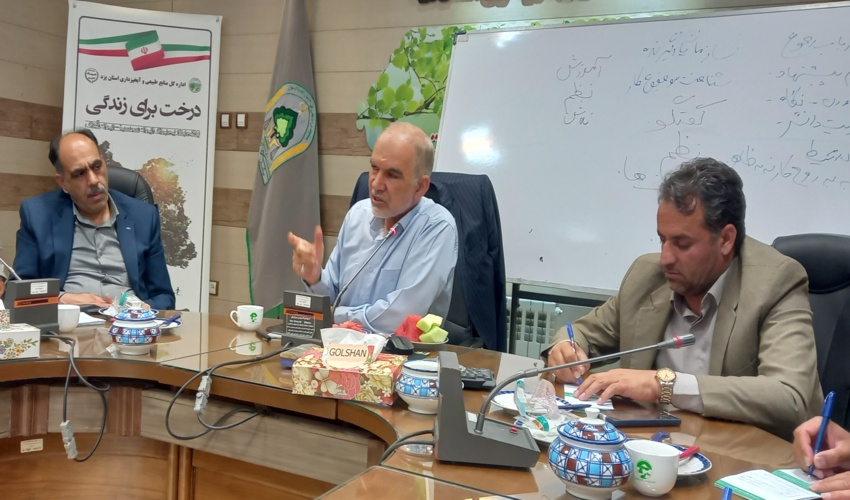 برگزاری کارگاه آموزشی ارتقا بهره‌وری در سیستم اداری