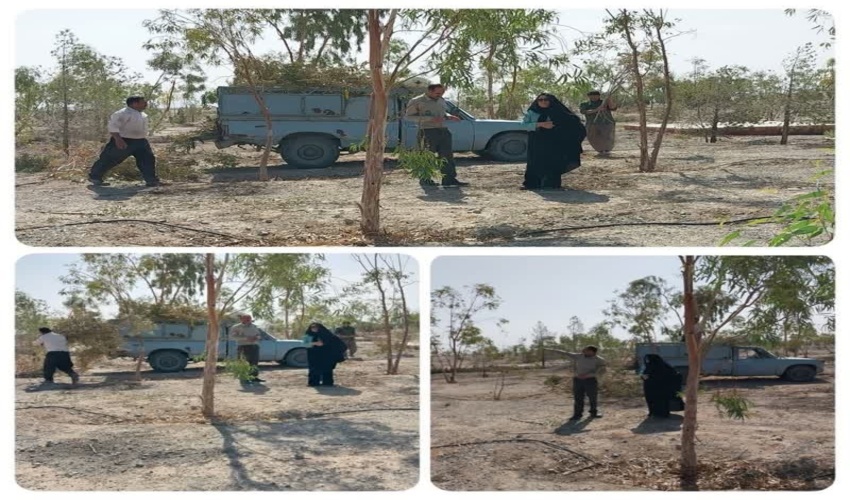  بازدید ناظرستادی جنگل به همراه کارشناس اداره منابع طبیعی وابخیزداری شهرستان ا زپروزه جنگل سنواتی انجام شد