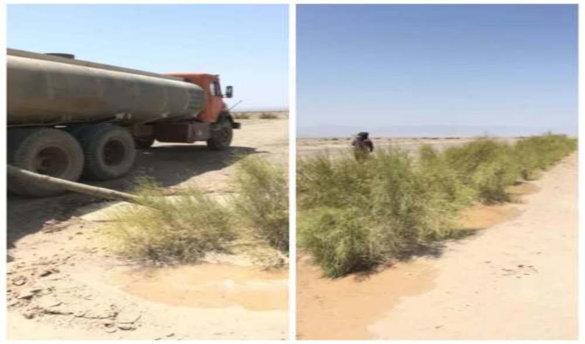 آبياري كشت هاي سنواتي 1393 گودگوار شهرستان بافق نظارت شد