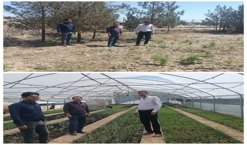 بازدید تشکل های منابع طبیعی اردکان از نهالستان و طرح مردمی کاشت یک میلیارد درخت به مناسبت گرامیداشت ۲۲ مردادماه روز تشکل ها و مشارکتهای مردمی