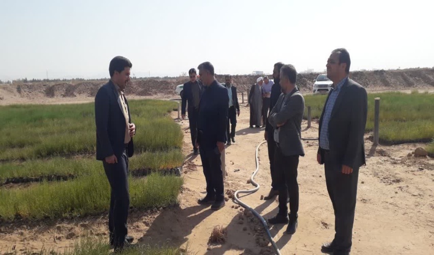 بازدید فرماندار و رئیس دفتر امام جمعه معزز شهرستان میبد از پروژه تولید  نهال نهضت ملی کاشت یک میلیارد درخت شهرستان 