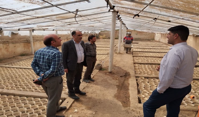 بازدید معاون و کارشناسان اداره کل از نهالستان شهرداری بهاباد