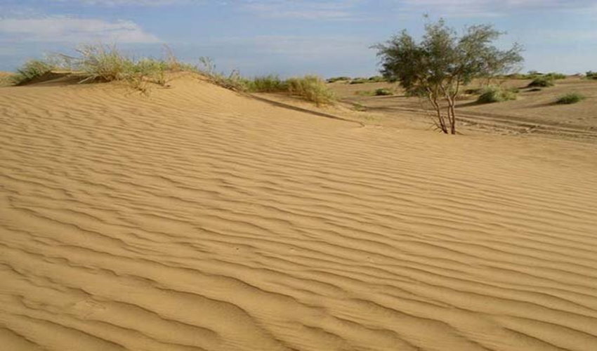 برگزاری کلاس آموزشی نقش معیشت های جایگزین در عرصه های منابع طبیعی در شهرستان اردکان