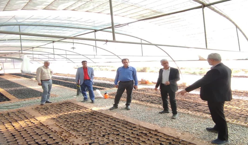 بازدید معاونت محترم برنامه ریزی اداره کل منابع طبیعی و آبخیزداری استان یزد از گلخانه و نهالستان  منابع طبیعی و آبخیزداری شهرستان اشکذر