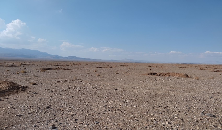 بازدید از پیشرفت پروژه طرح مردمی کاشت یک میلیارد نهال شهرستان بهاباد