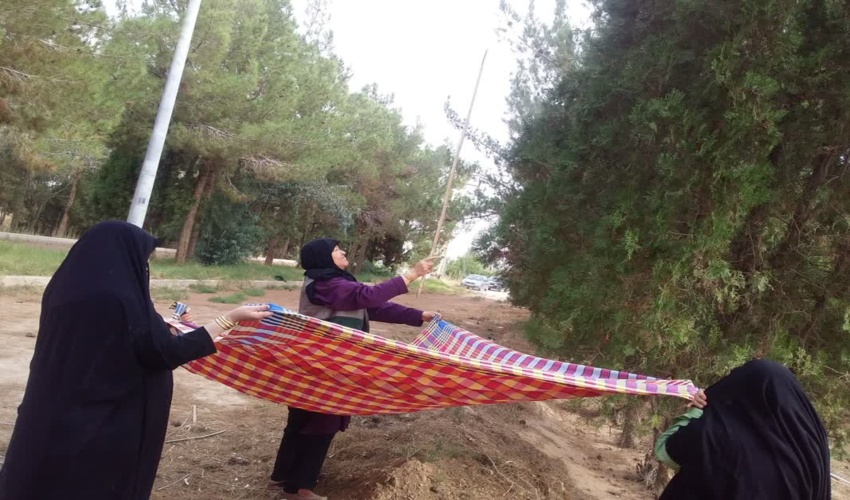 حضور بانوان بسیجی در نهالستان اداره منابع طبیعی و آبخیزداری شهرستان اشکذر جهت همکاری جمع آوری بذر