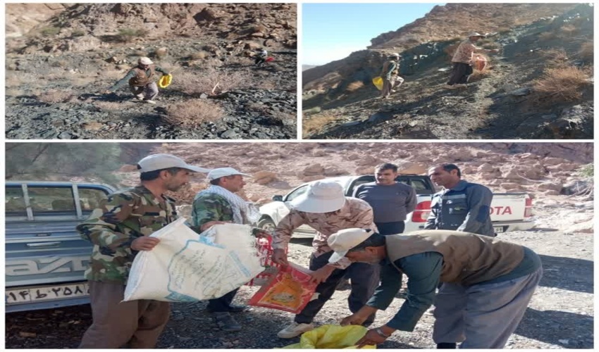 بذر پاشی و بذر کاری در سطح ۴۵۰ هکتار در مرتع نیوریس بخش رباط پشت بادام 