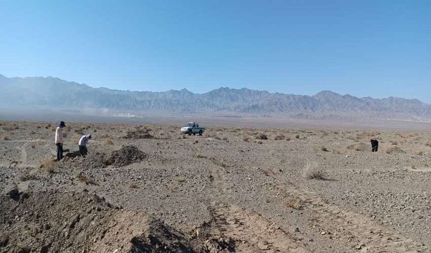 آغاز نهال کاری طرح مردمی کاشت یک میلیارد درخت در شهرستان بهاباد