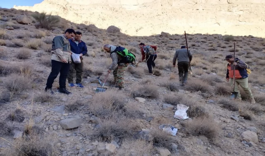 اجرای پویش بذرکاری کاشت درخت در مهریز