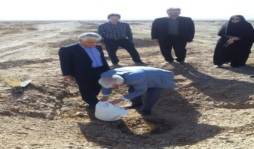 بازدید رئیس سازمان تحقیقات آموزش و ترویج کشاورزی کشور از محل اجرای طرح مردمی کاشت یک میلیارد درخت در شهرستان اشکذر