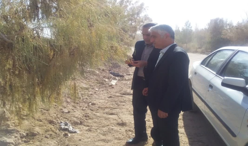 بازدید رئیس اداره مطالعات مهندسی اداره کل از اداره منابع طبیعی و آبخیزداری شهرستان اشکذر