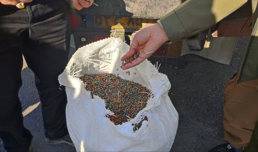 کشف و ضبط 4280 کیلوگرم بنه جنگلی در شهرستان مهریز