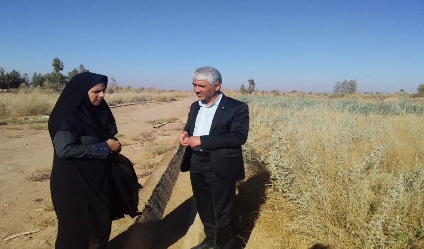 بازدید مسئول گیاه پزشکی اداره جهاد کشاورزی شهرستان از نهالستان و گلخانه اداره منابع طبیعی وآبخیزداری شهرستان اشکذر