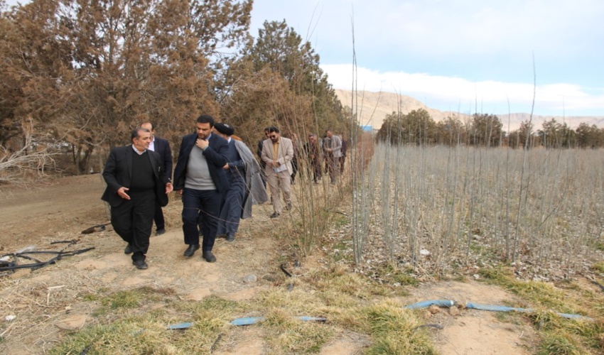 طرح مردمی کاشت یک میلیارد درخت با کمک مردم و اقدام جهادی رو به جلو درحرکت است
