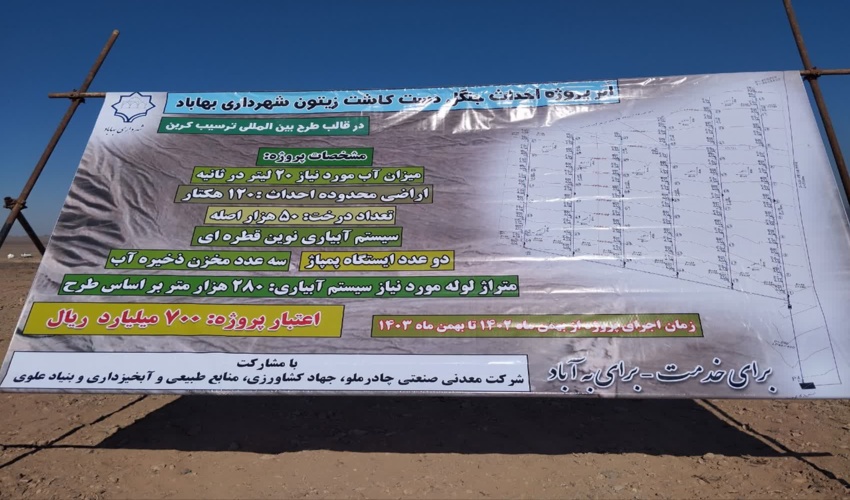 آغاز به کار عملیات اجرایی کاشت 120 هکتار نهال زیتون در شهرستان بهاباد