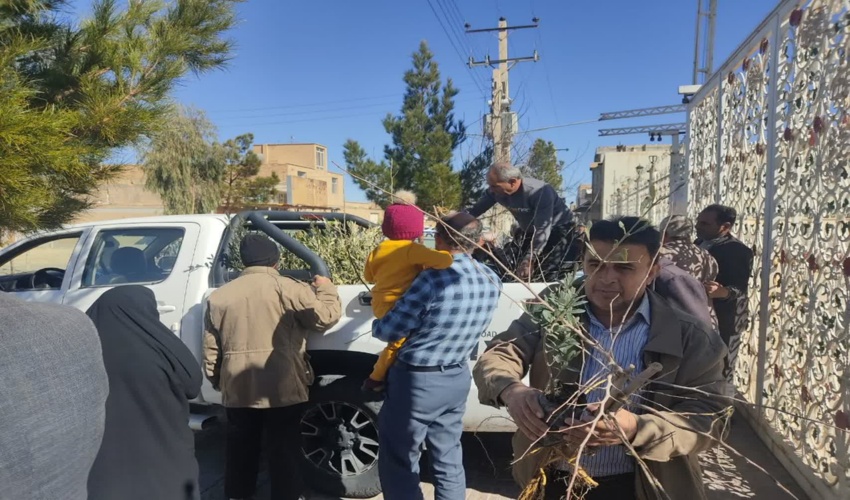 توزیع نهال رایگان درمحل نمازجمعه شهرستان ابرکوه