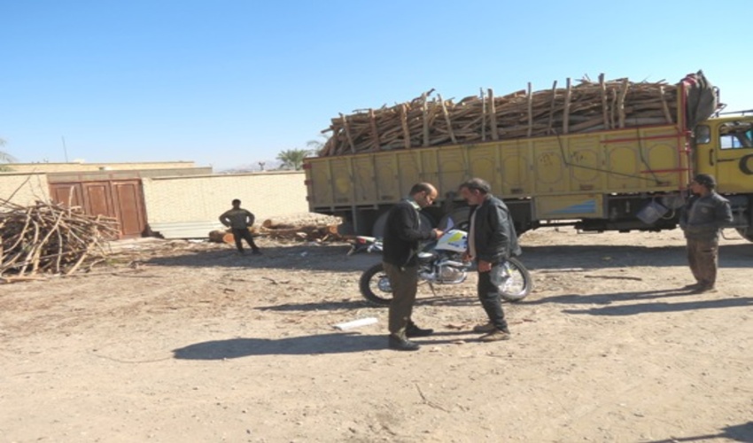 گشت و مراقبت مستمر و بررسی مجوزهاي حمل چوب توسط نیروهای یگان حفاظت اداره منابع طبیعی و آبخیزداری شهرستان بافق