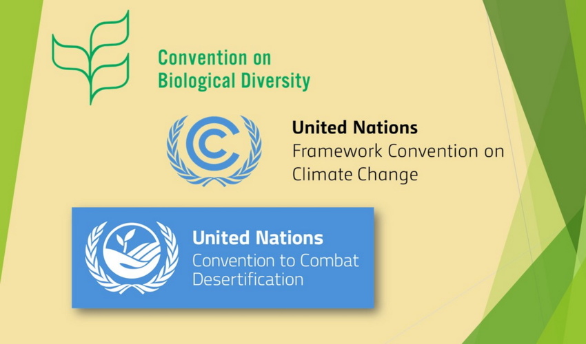 نشست مشترک کنوانسیون های ریو تحت عنوان "اتحاد برای زمین" برگزار می شود