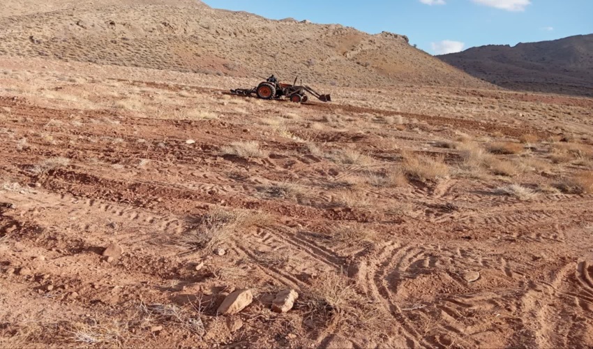 ۲۵۳ هکتار از اراضی کشاورزی رها شده محدوده طرح ترسیب کربن در شهرستان های خاتم و مروست به زیر کشت گیاه دارویی انغوزه تلخ رفت.
