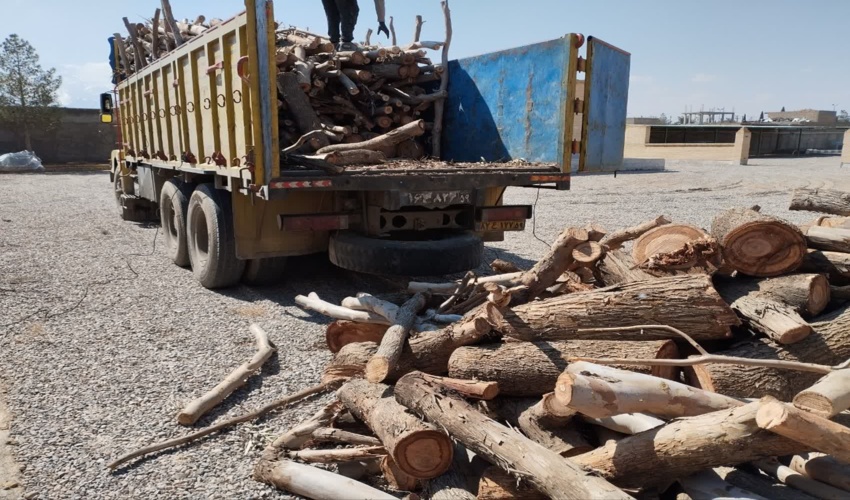 کشف و ضبط محموله چوب غیرمجاز در شهرستان مهریز