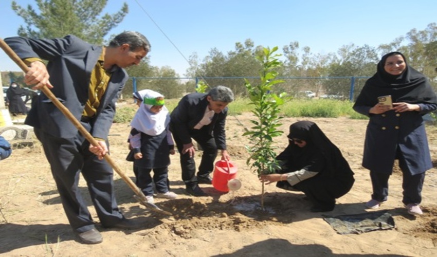 غرس 30 اصله نهال نارنج در محوطه دبستان دخترانه غیر انتفاعی سماء شهرستان بافق 