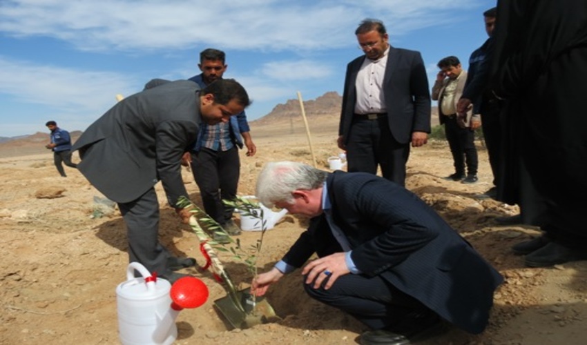 غرس 50 اصله نهال زیتون و امضای عهدنامه با طبیعت در محل طرح نهضت مردمی کاشت یک میلیارد درخت، 30 هکتاری شرکت سنگ آهن مرکزی ایران بافق واقع در اراضی ملی 