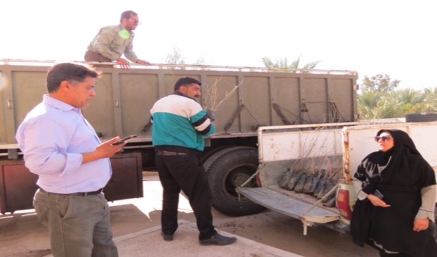 توزيع 4 هزار اصله نهال رايگان بادام کوهی، سنجد شیرین، زبان گنجشک و داغداغان در ششمین روز از گرامیداشت هفته منابع طبیعی در شهرستان بافق